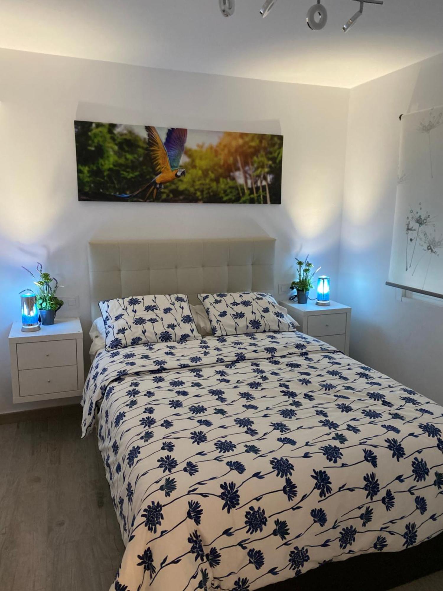 Apartamento Sevilla Enzo Extérieur photo